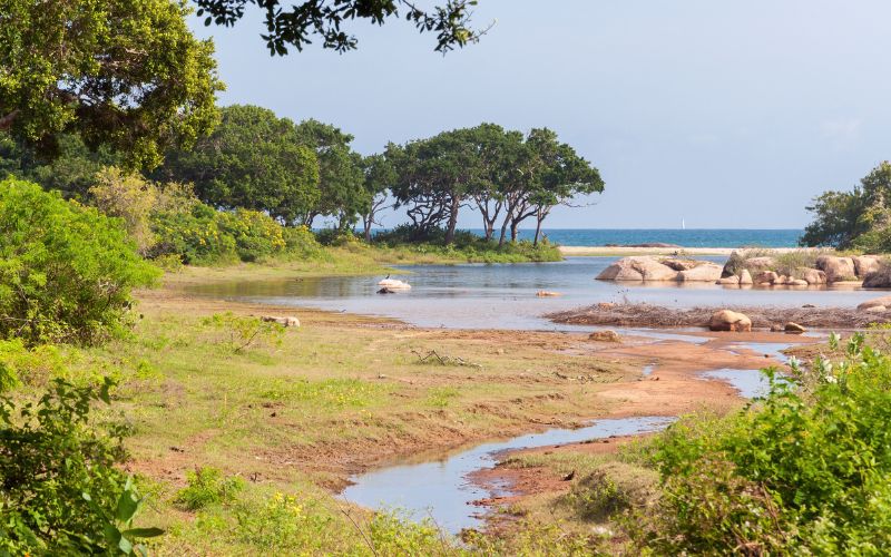 National Parks in Sri Lanka