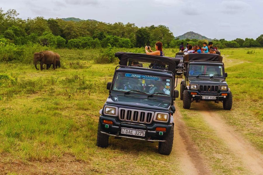 Adventure and Outdoor Activities in Sri Lanka