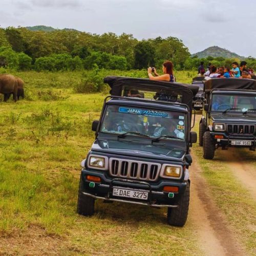 Adventure & Outdoor Activities in Sri Lanka