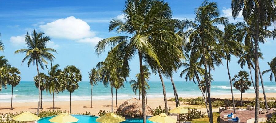 Beach Camping (Arugam Bay & Kalpitiya)