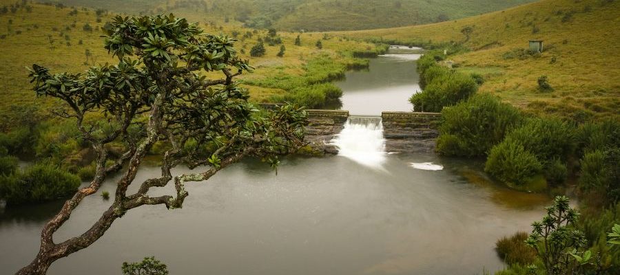 Horton Plains National Park