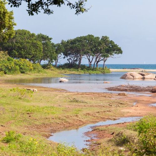 National Parks in Sri Lanka