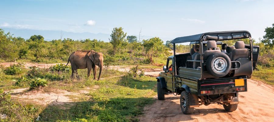 Yala National Park